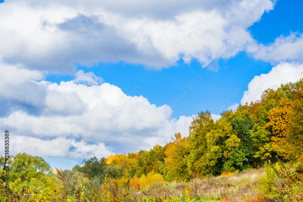 Autumn forest. Yellow and green trees against the blue sky Autumn forest. Yellow and green trees against the blue sky