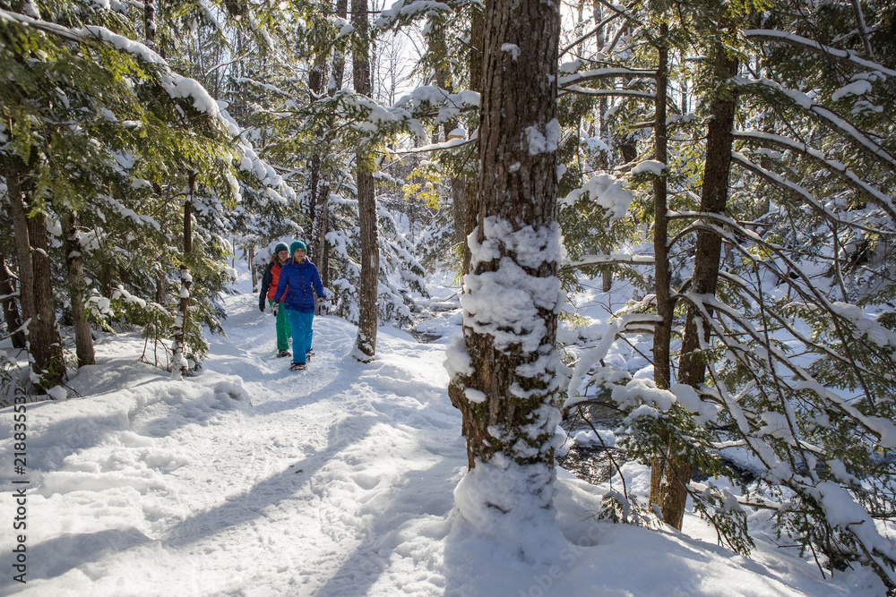 Pair of female friends snowshoeing in forest.