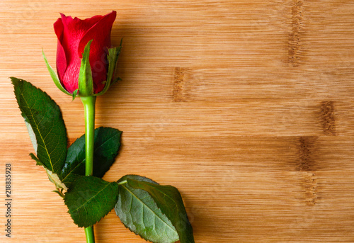 Photography Valentine's day red single stem roses on rustic wood table