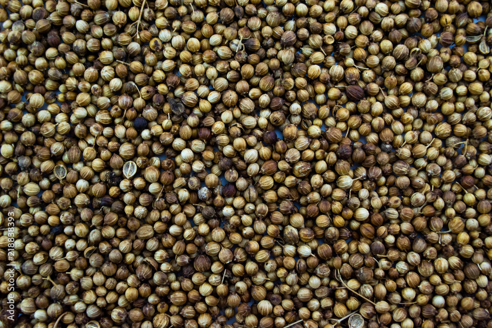 Coriander seeds background Coriander seeds background