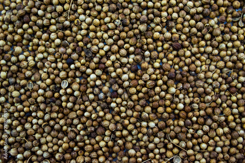 Coriander seeds background