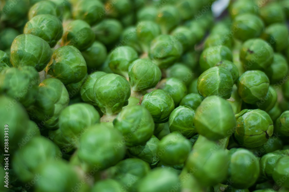 frischer Rosenkohl am Stängel