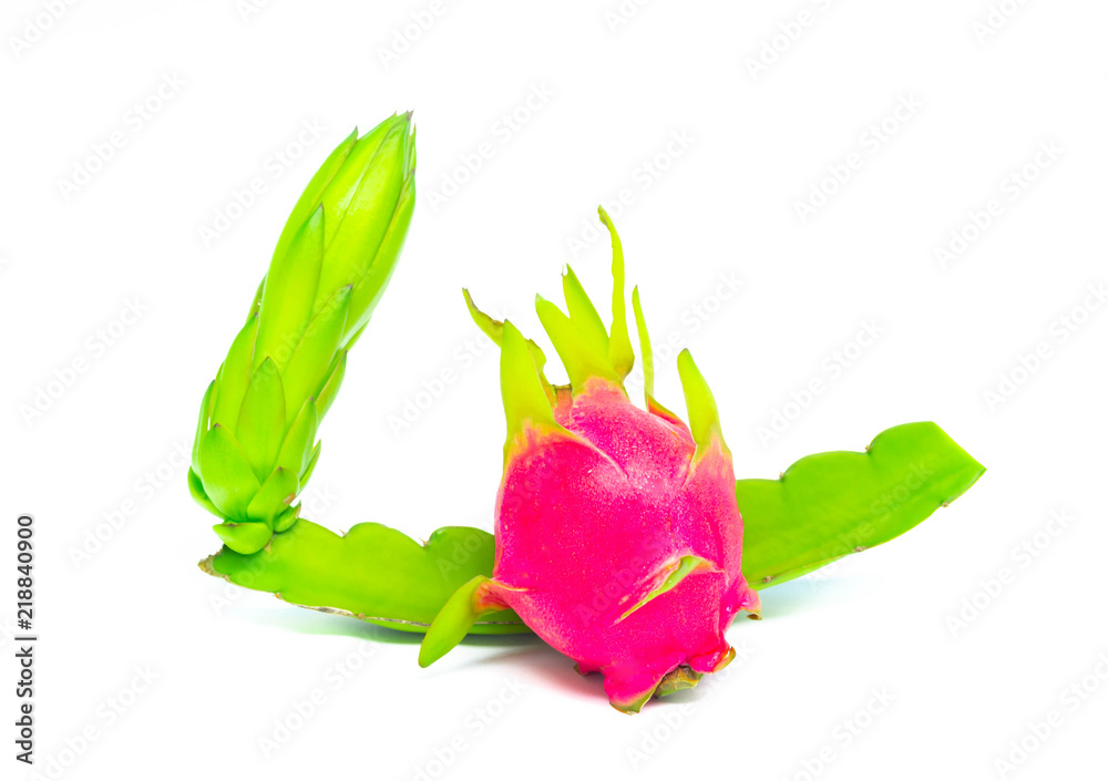 Dragon fruit fresh,raw drsagon friut isolated on white background Dragon fruit fresh,raw drsagon friut isolated on white background