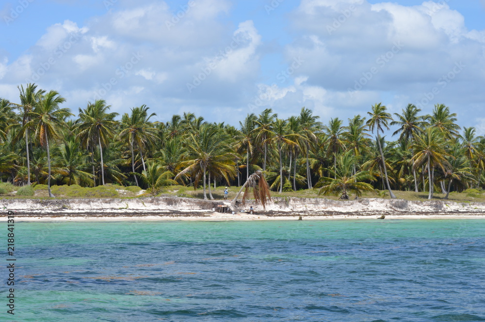 Islas de palmeras, Republica Dominicana