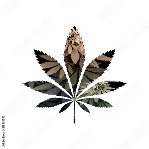 green cannabis vector illustration