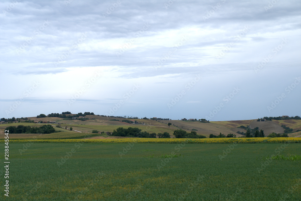 landscape,panorama,agriculture,countryside,summer,hill,crops,green,sky,cloudy