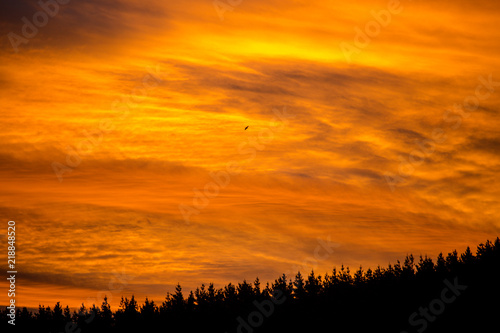 Epic fiery sunset above the tree line 3