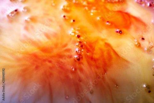 Colours mixing in fluid