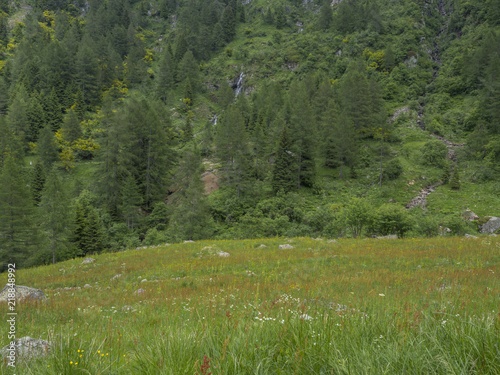 trekking in Mocheni Valey in Trentino photo