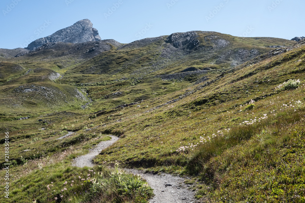 Photo de paysage panoraminque de haute montagne et de chemins de randonnée dans les alpes