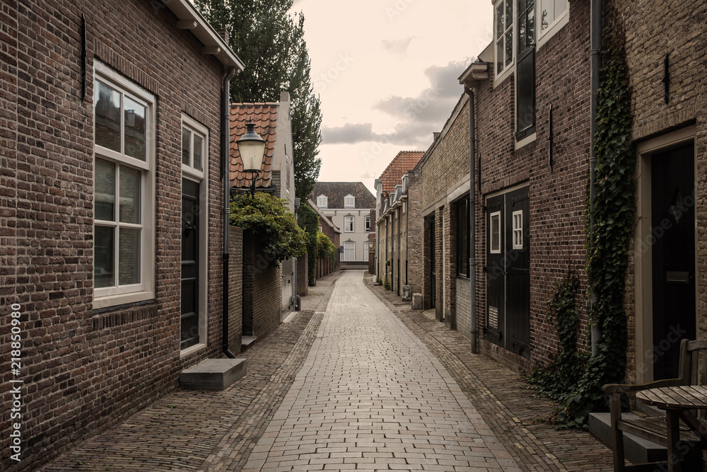 Beautiful street with traditional dutch architecture in the Netherlands