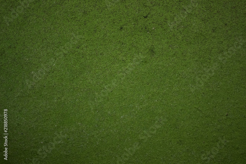 water surface in green color plants background nature texture with empty space for copy or text