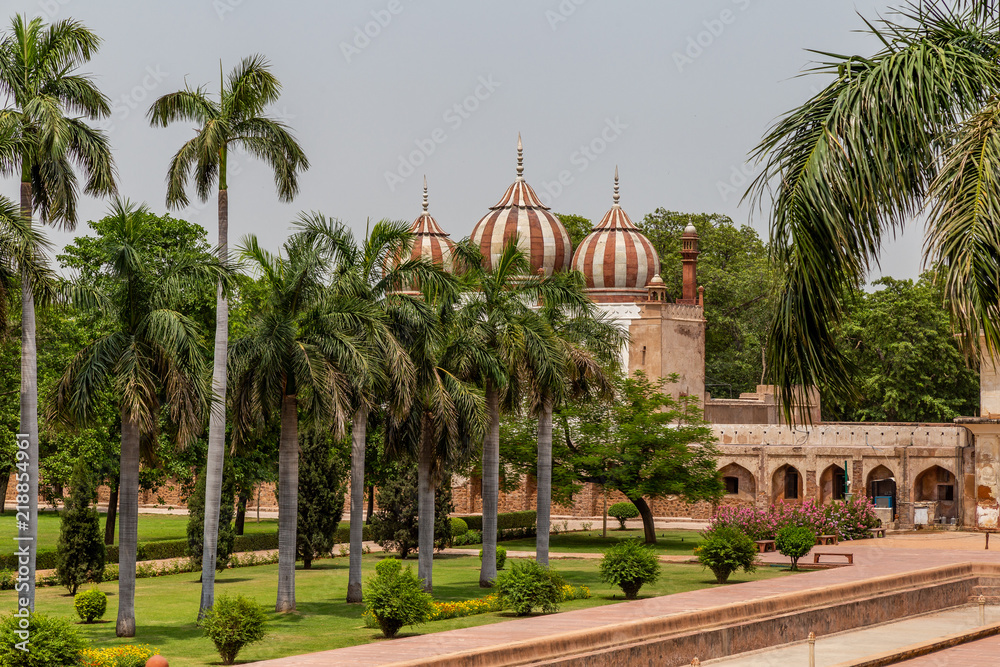 Palmiers et palais Inde New Delhi visite touristique 