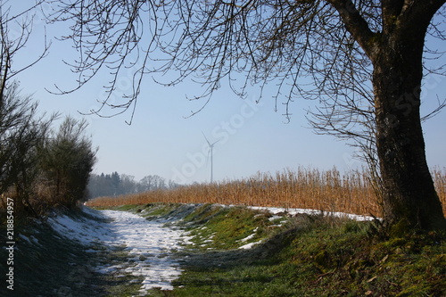 Hiking trail and wind wheel in winterly Luxembourg photo