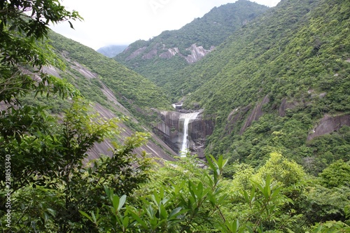Yakushima Insel mit Wasserfall