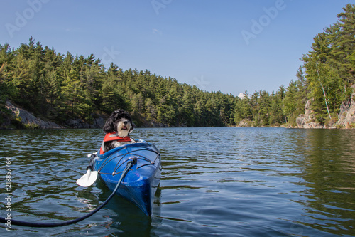 Summer holidays on Georgian Bay