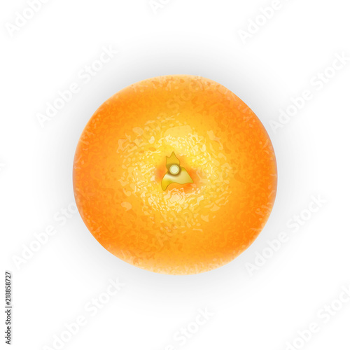 Orange fruit for fresh juice. 3d realistic  orange ripe citrus isolated on white background for packaging or web design. Vector