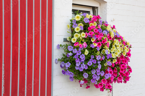 Blumenschmuck am Haus photo