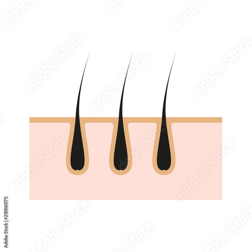 Icon illustration of skin hair. Vector element on isolated background for cosmetic depilation, medicine projects.