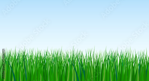 vector illustration of green grass on sky background