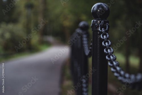 Moody Photo of the Road in a Park, Between Woods - Desaturated, Vintage Look photo