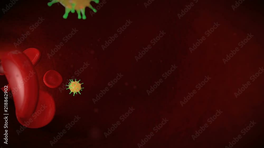 3D animation of bloodstream and cells of bacteria and viruses inside the blood vessel. The camera moves through the vein following the blood flow, process of a blood poisoning. 3D animation of bloodstream and cells of bacteria and viruses inside the blood vessel. The camera moves through the vein following the blood flow, process of a blood poisoning.