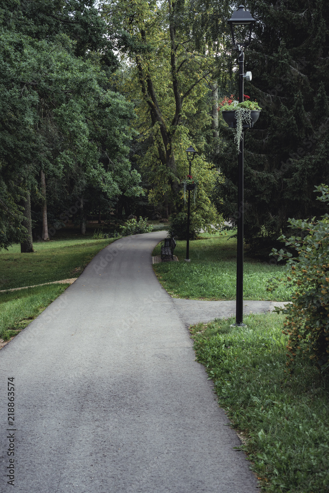 Moody Photo of the Road in a Park, Between Woods - Desaturated, Vintage Look