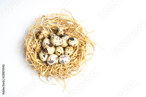 quail eggs in a nest isolated on white background
