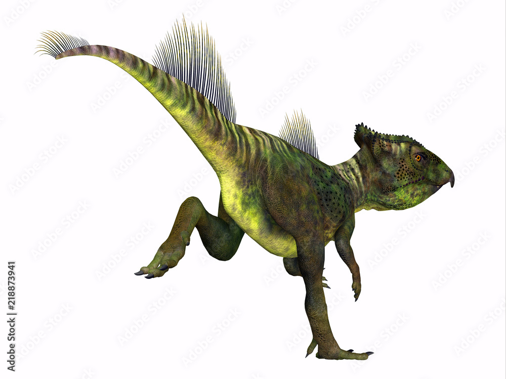 Naklejka premium Archaeoceratops Dinosaur Tail - Archaeoceratops was a Ceratopsian herbivorous dinosaur that lived in China in the Cretaceous Period.