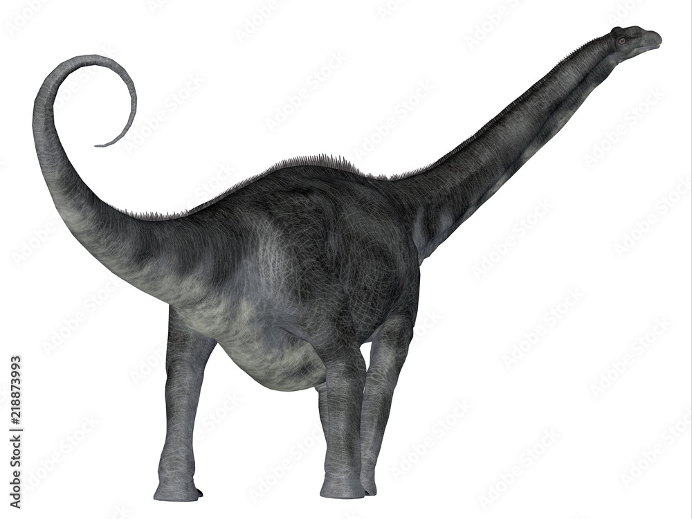 Naklejka premium Argentinosaurus Dinosaur Tail - Argentinosaurus was a herbivorous sauropod dinosaur that lived in Argentina during the Cretaceous Period.