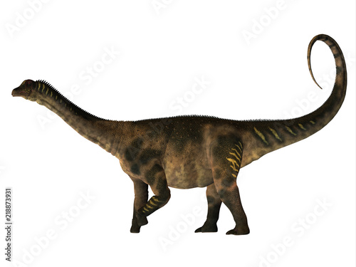 Antarctosaurus Dinosaur Side Profile - Antarctosaurus was a herbivorous sauropod dinosaur that lived in the Cretaceous Period of South America.
