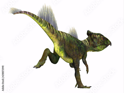 Archaeoceratops Dinosaur Tail - Archaeoceratops was a Ceratopsian herbivorous dinosaur that lived in China in the Cretaceous Period.