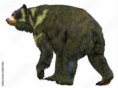 Arctodus Bear Tail - Arctodus was an omnivorous short-faced bear that lived in North America during the Pleistocene Period. photo