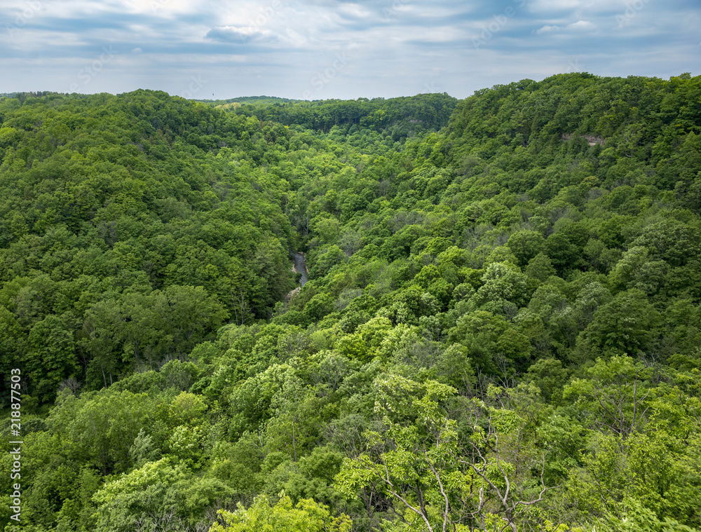 High view of lush green river valley with trees reaching far into the distance