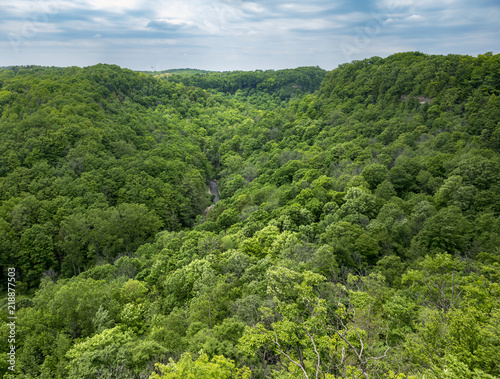 High view of lush green river valley with trees reaching far into the distance