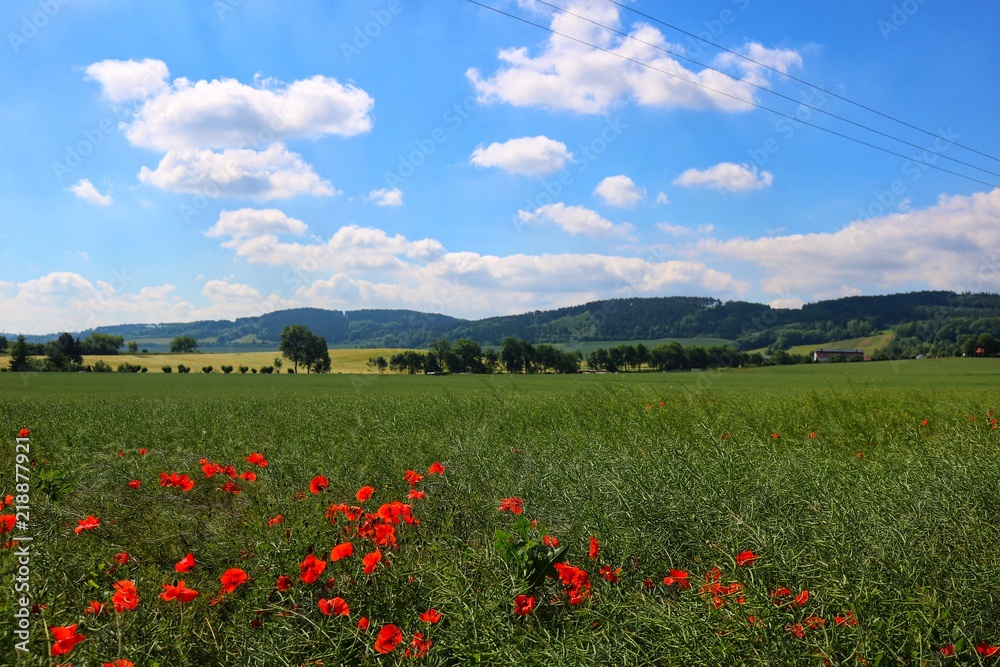 Paisagem da Turíngia