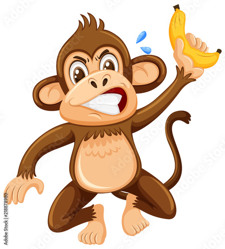 An angry monkey on white background