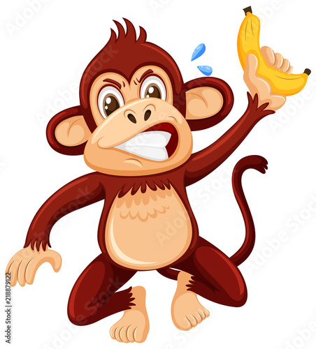 An angry monkey on white background