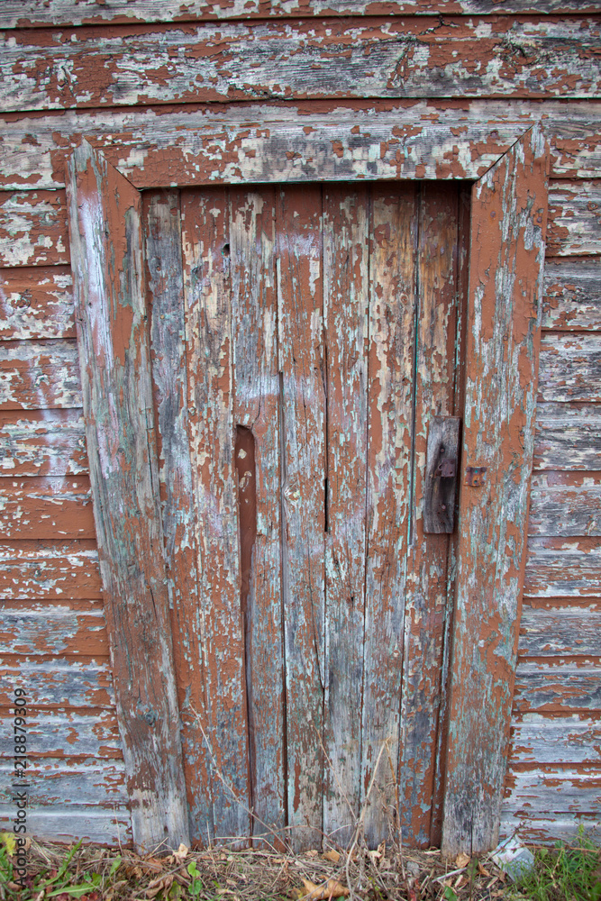 Door