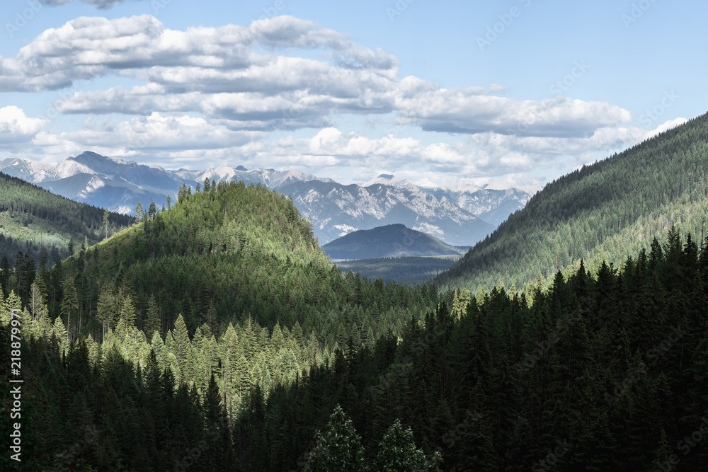 Canadian rocky mountains in summer