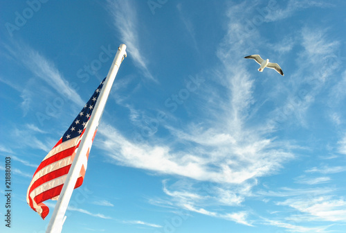 american flag and the free bird