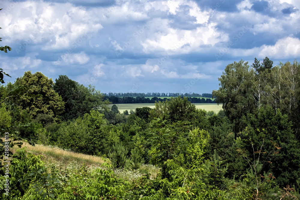 Obraz premium Landscape of the countryside. Trees and fields