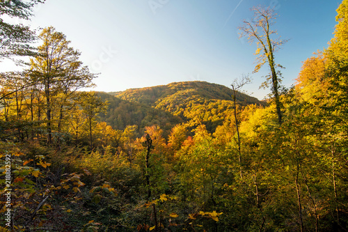 Fototapeta Naklejka Na Ścianę i Meble -  Colourful autumn landscape view