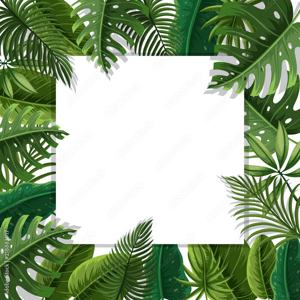 A beautiful leaf border A beautiful leaf border