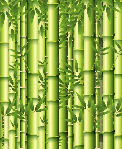 Fototapeta Naklejka Na Ścianę i Meble -  A green bamboo background