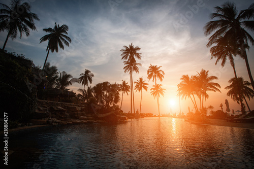 Silhouettes of palm trees on a tropical beach at dusk. © De Visu