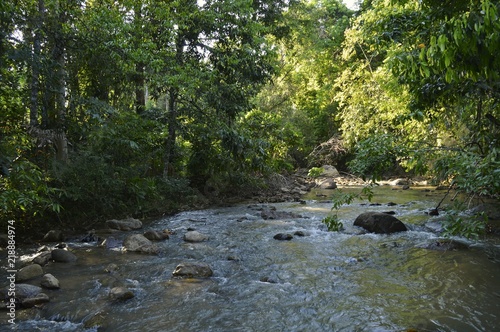a scenic view of the river
