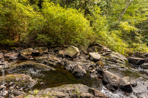 stream flowing down the cascading rocky creek inside forest on a cloudy day