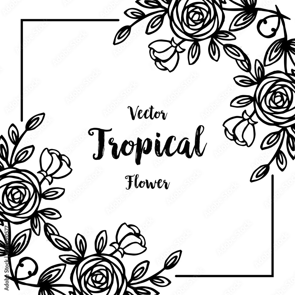 Vector tropical flower hand draw vector illustration Vector tropical flower hand draw vector illustration