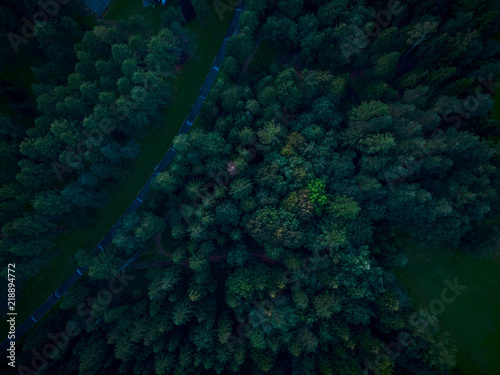 Creek in woodlands, top down aerial drone view